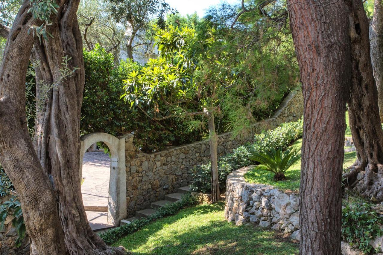 Villetta Cielo Blu Conca dei Marini Εξωτερικό φωτογραφία