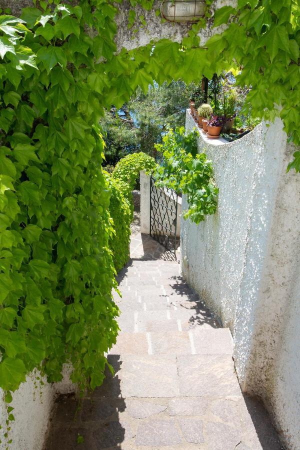 Villetta Cielo Blu Conca dei Marini Εξωτερικό φωτογραφία